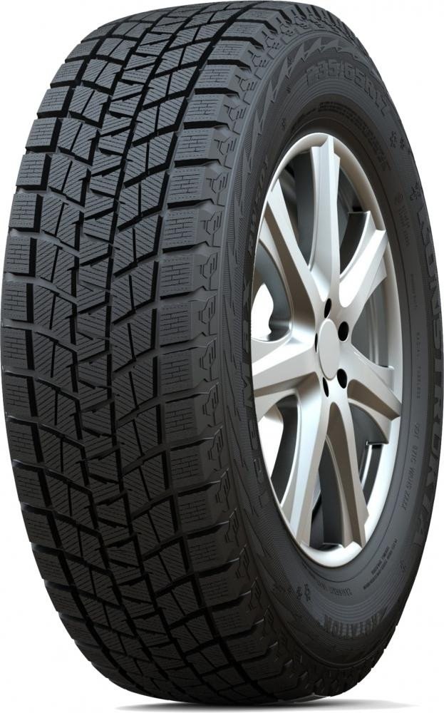 Зимние шины Habilead IceMax RW501 205/50R17 93H